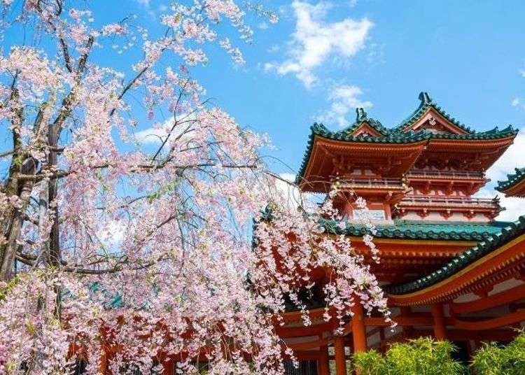 傳承舊人念願至今的百年神宮京都 平安神宮 社殿庭園巡禮 Live Japan 日本旅遊 文化體驗導覽