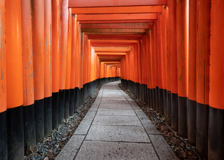 【伏見稻荷大社】不論到哪裡都是朱紅色的鳥居「祈願的參道」