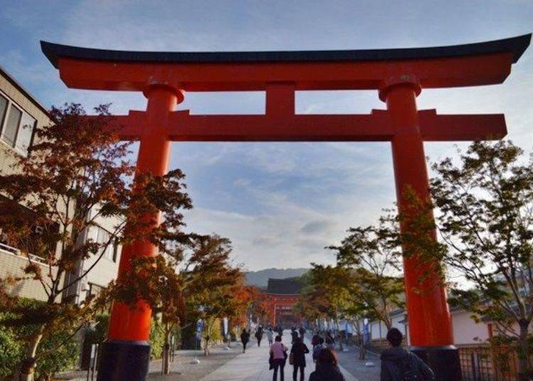 Fushimi Inari's Grounds are a Melting Pot of Tourists