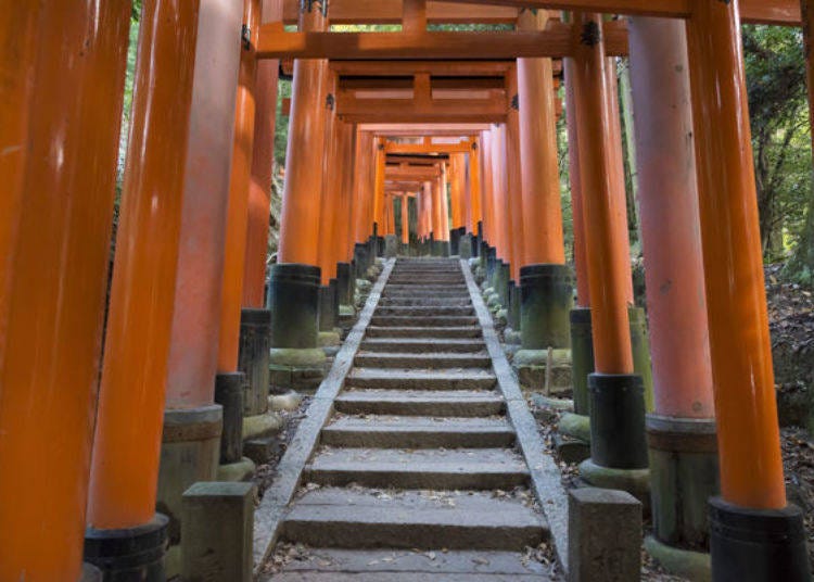 The Path of Wishes and Prayers beyond Senbon Torii