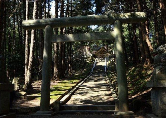 天橋立 從胯下偷窺天下美景一探究竟 絕對要去的能量景點 美食介紹 live japan 日本旅遊 文化體驗導覽