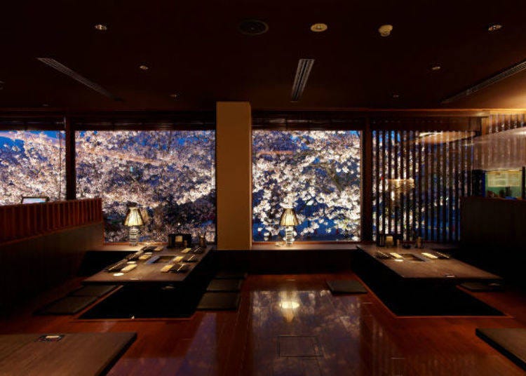 ▲Large windows ensure gorgeous views of cherry blossoms at night