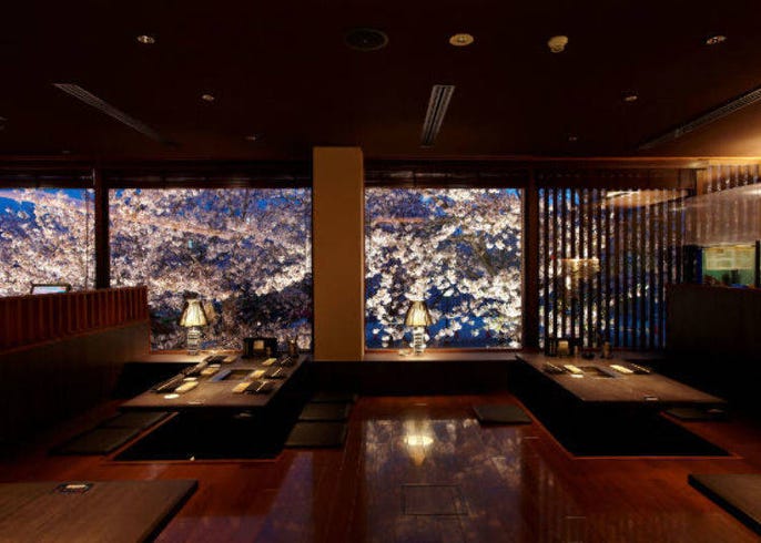 3 Kyoto Restaurants With A Cherry Blossom Backdrop Live Japan