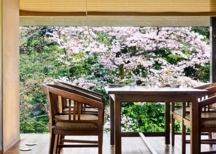▲Special table for viewing the cherry blossoms (Photo from March 26, 2018)