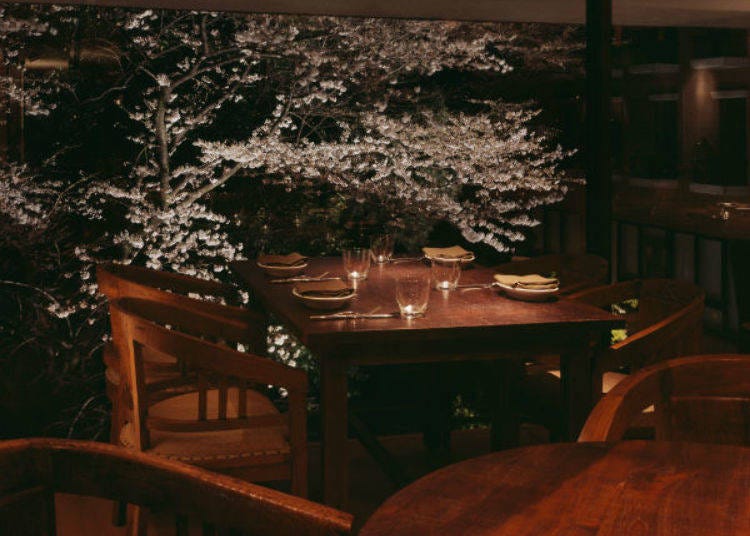▲Illuminated cherry blossoms right in front of table. An amazing place to sit if you get the chance!