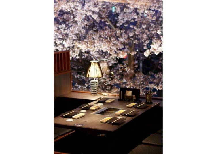 ▲ The horigotatsu tables have perfect views of the cherry blossoms illuminated at night