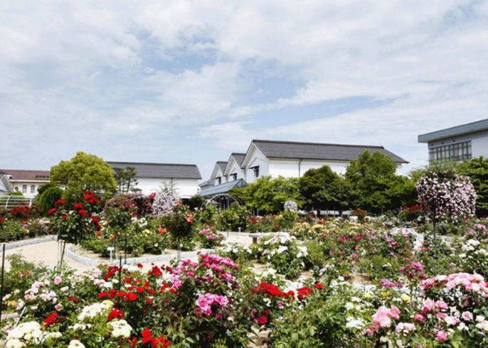 綾部gunze square是京都兜風時絕對想去的 心靈療癒 景點 live japan 日本旅遊 文化體驗導覽
