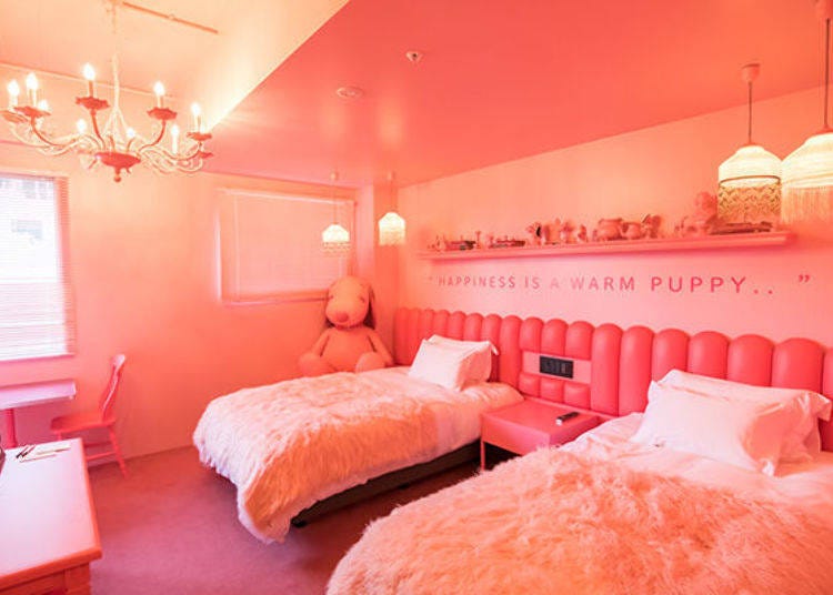 ▲Room 64 is very pink! The reason for that is…