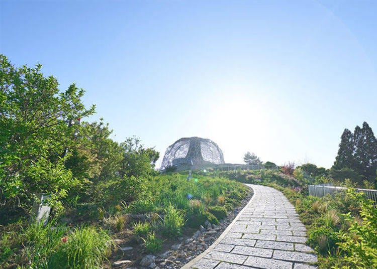 ▲Rokko-Shidare Observatory Nature Experience Observation Deck. (Photo provided by Mt. Rokko Tourism Co., Ltd.)