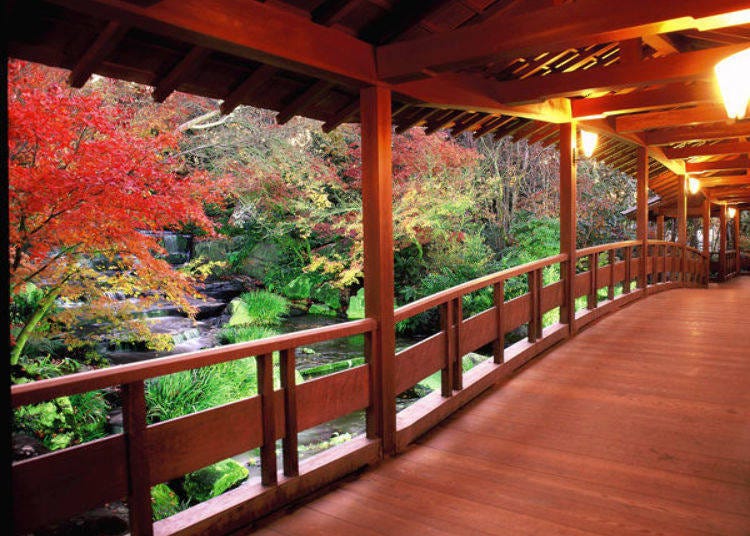 ▲ Koko-en Garden in the autumn (photo provided by Koko-en Garden)