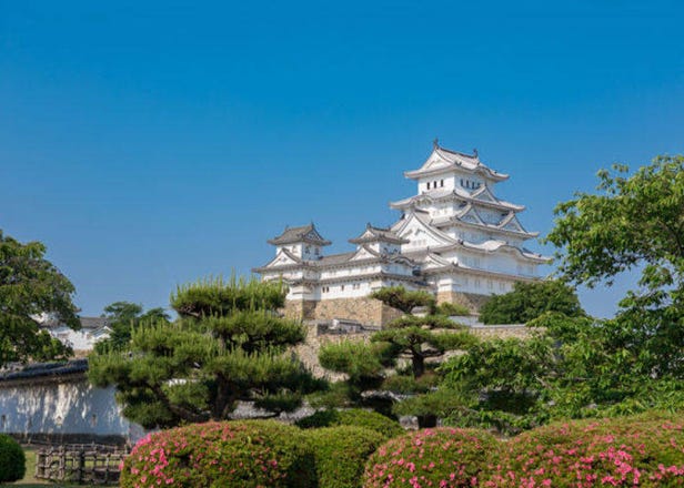 日本國寶姬路城＆好古園景點及參觀方法攻略～一起了解歷史價值＆必看美景！