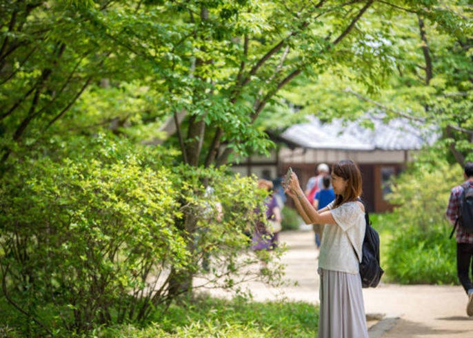探索歷史國寶 姬路城 彙整姬路城 好古園裡值得一遊的景點及參觀方法 Live Japan 日本旅遊 文化體驗導覽