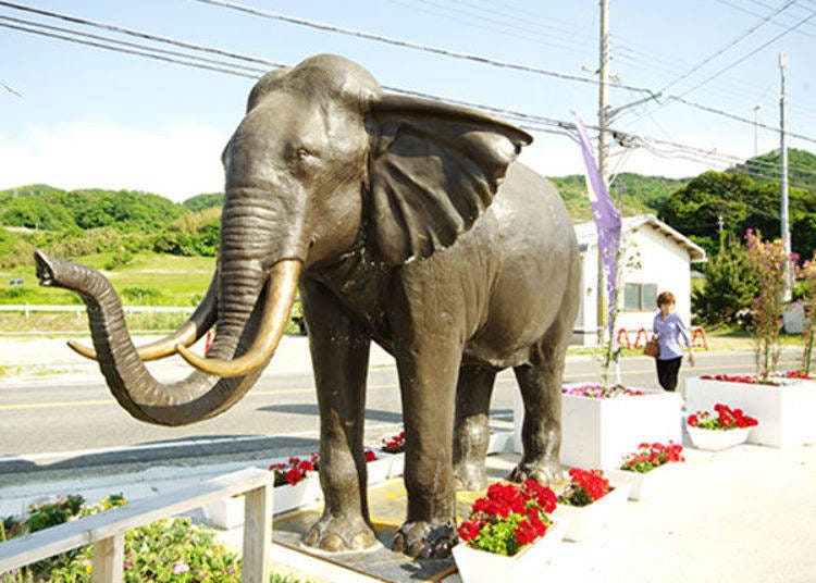 ▲An elephant greets you at the entrance (it’s so lifelike!)