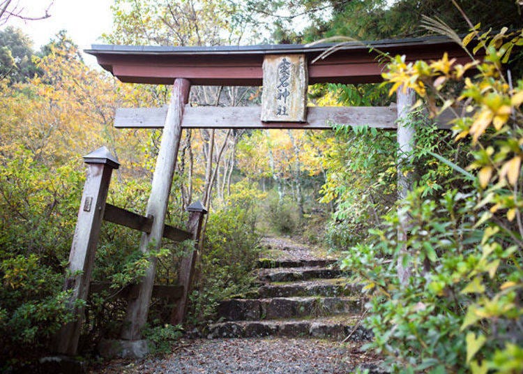 ▲A torii shrine gate along the path