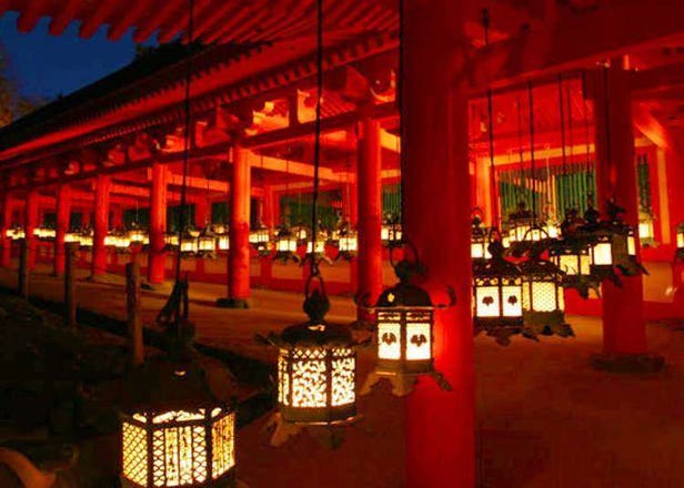 일본 제일의 규모! 3000개의 등롱에 불이 켜지는‘가스가타이샤’. 유연한 밤의 세계유산 속으로