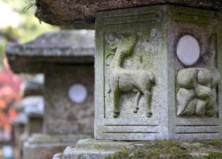 ▲Plump-looking deer in relief. Look at the cute shape of the deer!