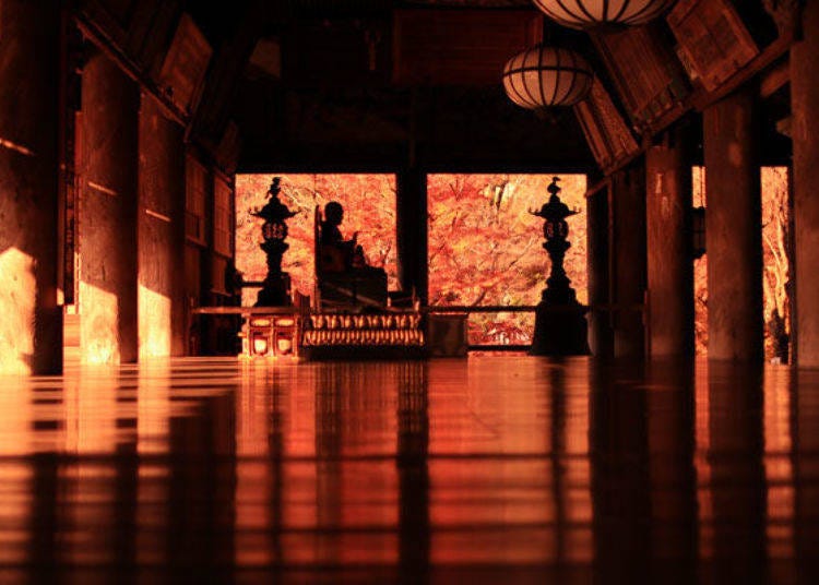 ▲At that time the reds of maple leaves are prominent making it another popular time for photographers. (Photo provided by Hasedera Temple)