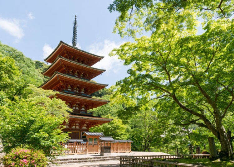 ▲The vermilion‐lacquered five-story pagoda nestled among the fresh verdure