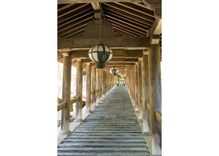 ▲Noboriro is designated an important cultural property (lower gallery). Lanterns in the distinctive Hase style are hung in the corridor. The middle and lower galleries of the corridor were rebuilt in 1894.