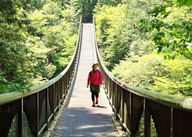 Mitarai Valley: Across This Wild Footbridge to Nara’s Breathtaking Scenery