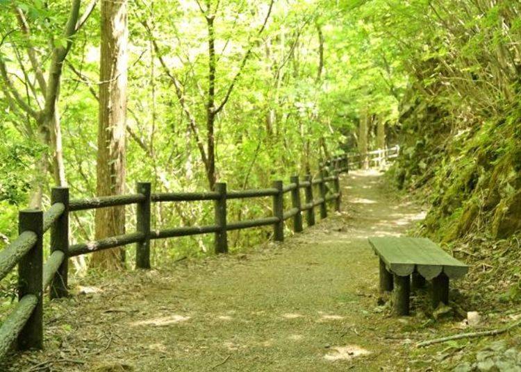 ▲Don’t push yourself too hard: there are benches along the path to take breaks