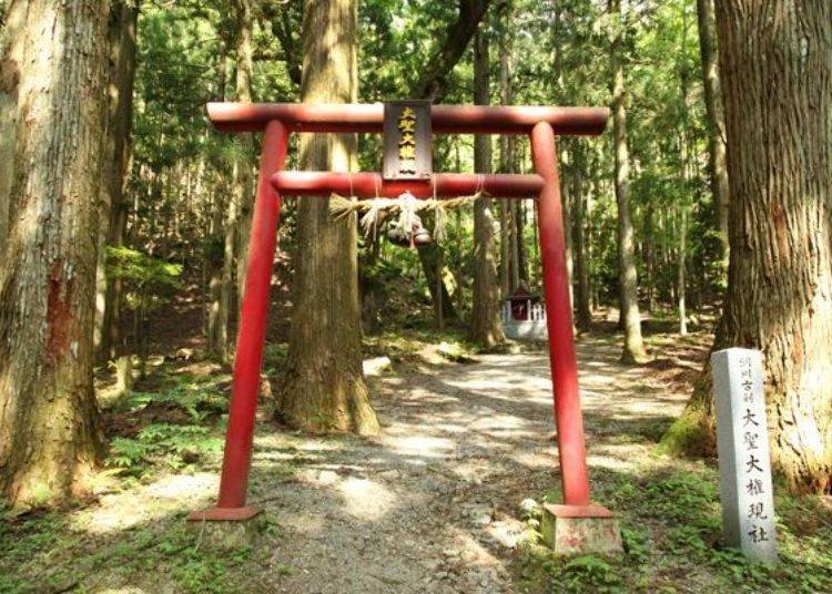 神秘綠境奈良「御手洗溪」健行趣