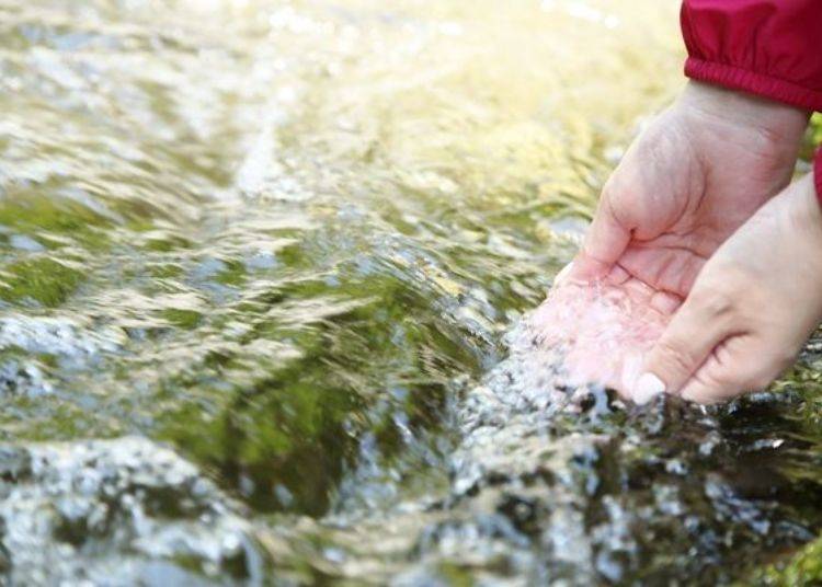 ▲來自大峯山的源流與日本名水百選的洞川湧水群的名水，融合出如此高透明度的溪水。即使氣溫高的日子溪水也是冷的。