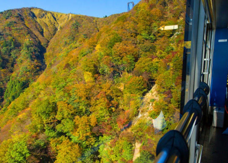 ▲ This photograph was taken in early November, the best time for viewing autumn leaves