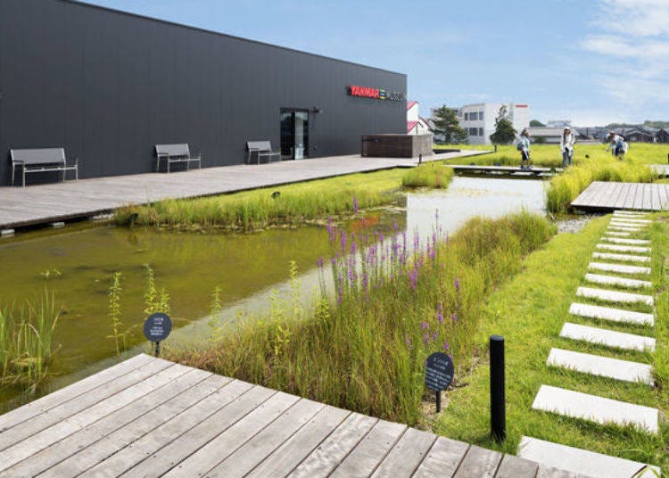 ▲Gathering plants from the nearby area (photo provided by Yanmar Museum)