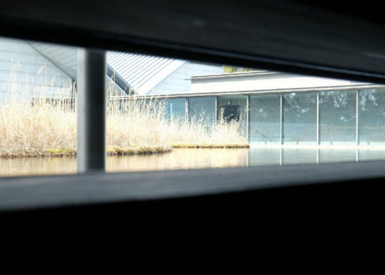 ▲The water surface of the water garden seen through the slits in the floor mold. It’s as if the tea room is right under the water garden