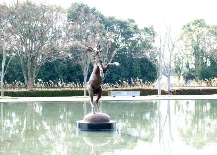 ▲淺水庭裡有佐藤忠良的作品「蝦夷鹿」