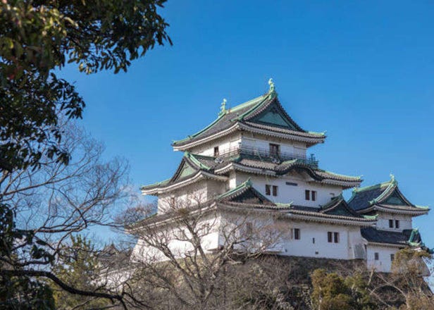 Discover Wakayama Castle: Top Photo Spots, Insider Tips, and More