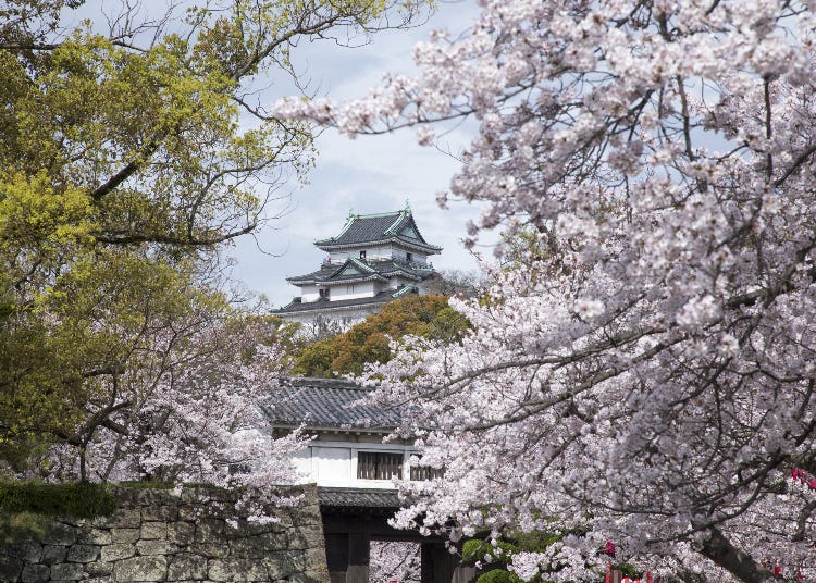Discover Wakayama Castle: Top Photo Spots, Insider Tips, and More