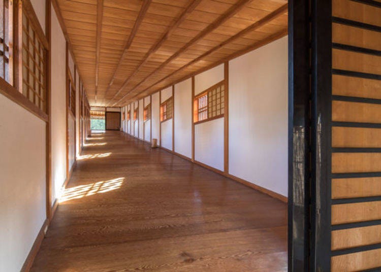 ▲ Magnificent view looking down the bridge corridor