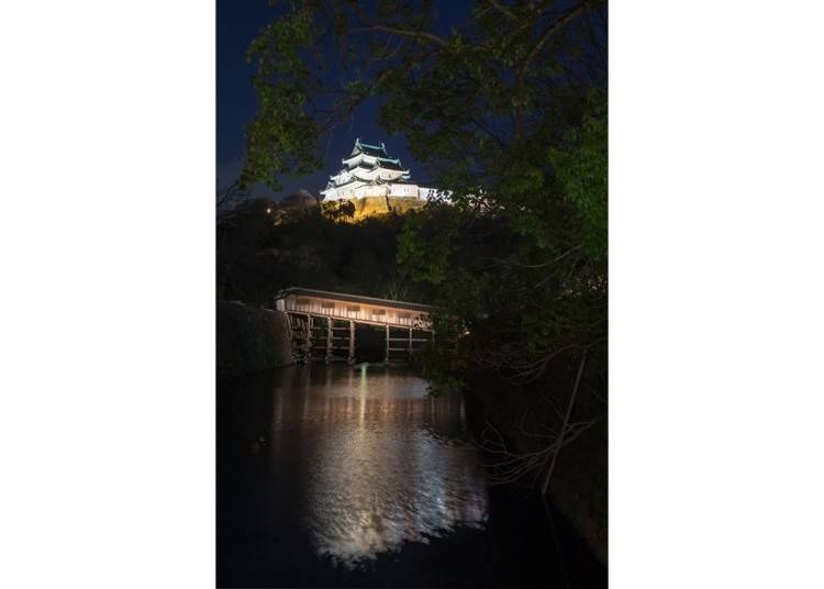 ▲ The castle beautifully illuminated at night