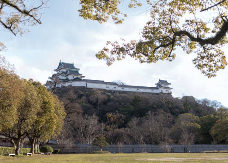 ▲敷地一体が公園となっている和歌山城