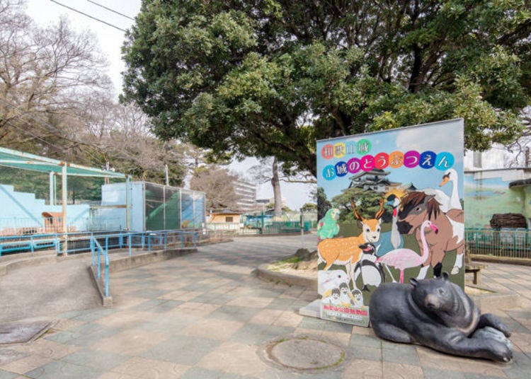 もっと楽しむ和歌山城その5.「和歌山公園動物園」でかわいい動物たちを愛でる!
