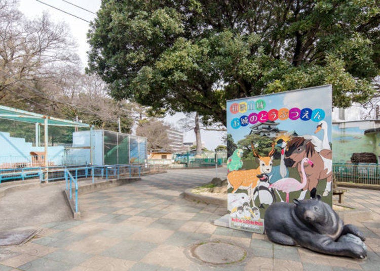 もっと楽しむ和歌山城その5．「和歌山公園動物園」でかわいい動物たちを愛でる！