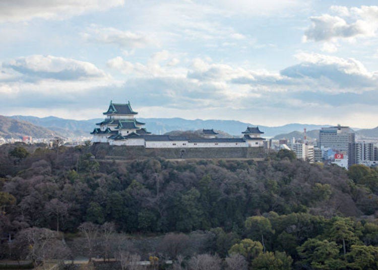 ▲市役所の7階から撮影した和歌山城