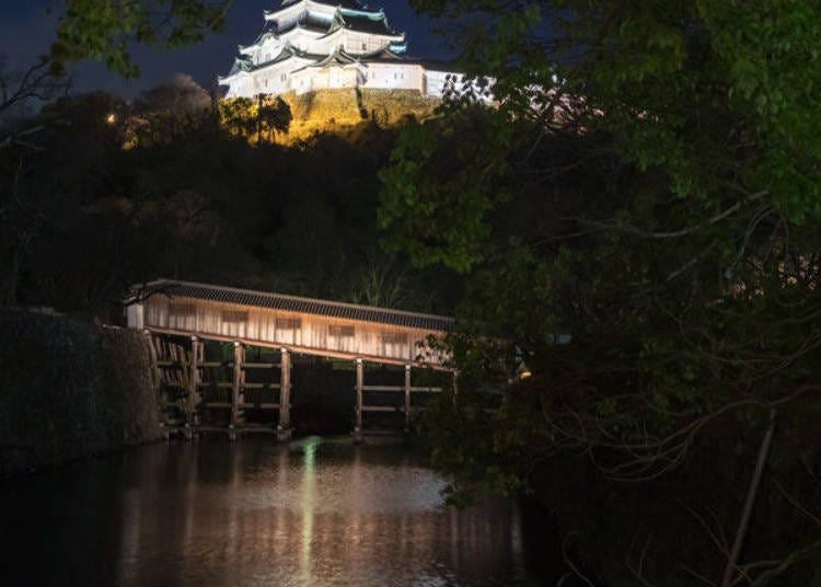 ▲夜にはライトアップされて幻想的な風景に