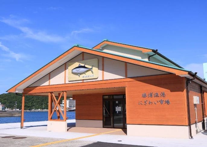 在勝浦漁港市場開始美好的一天 新鮮美味的鮪魚早餐 Live Japan 日本旅遊 文化體驗導覽