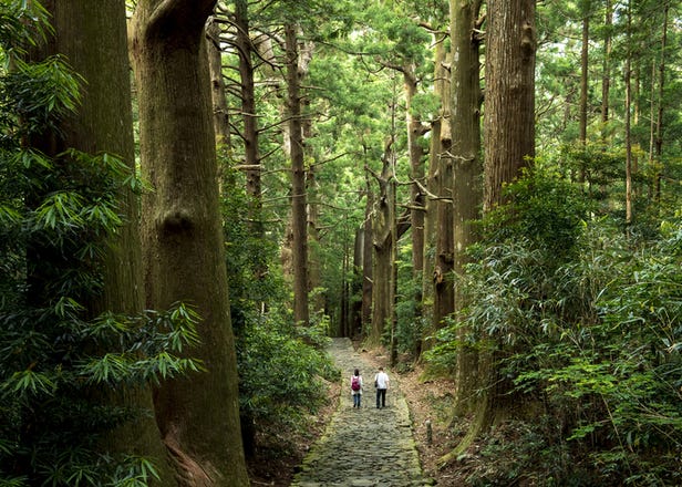 Trekking the Kumano Kodo: Walk Through Nature Along Japan's Famous Pilgrimage Trail And World Heritage Site