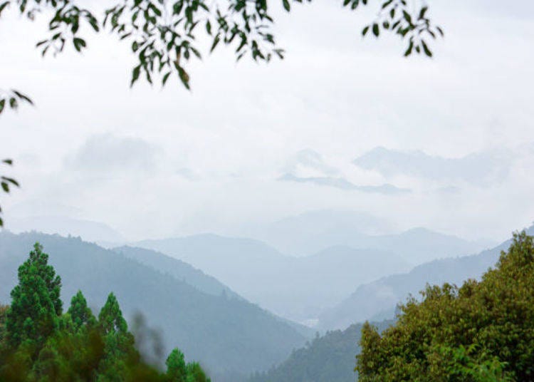 ▲The mystical atmosphere created by the mountains of Kumano