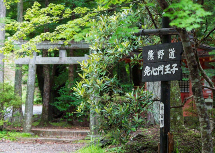 ▲The front of Hosshinmon'oji