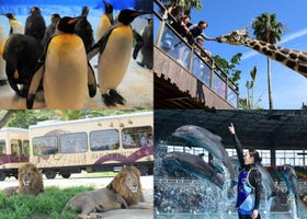 Pandas Are Gone, But the Fun Isn't: Why Wakayama's Adventure World Is Still Worth the Trip