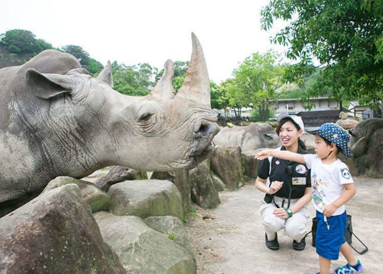 ▲ Rhinoceros feeding experience (200 yen each time, including tax)