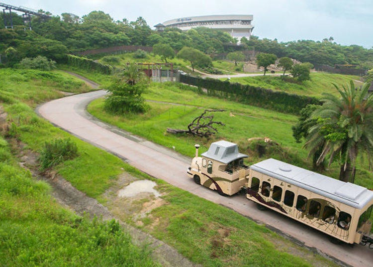 ▲You can see the carnivores up close from the Safari Caravan (estimated time about 60 minutes, 2,500 yen per person including tax)