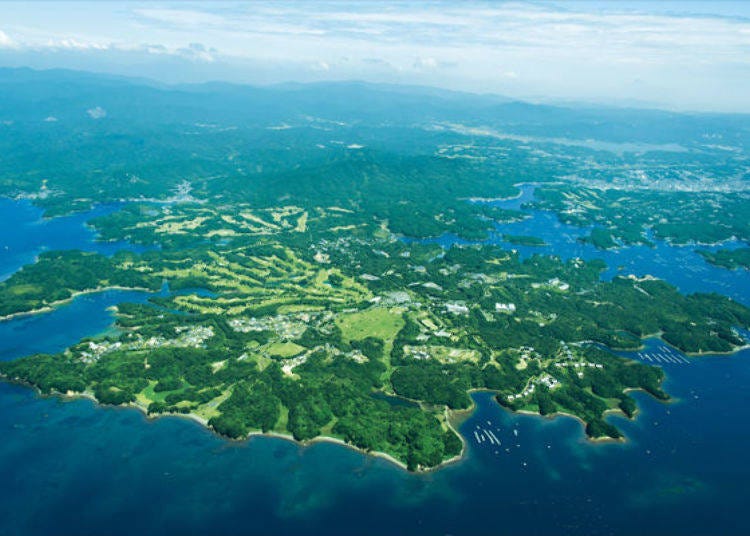 ▲사진 앞 쪽의 오사키 반도에 위치한 숲과 바다로 둘러쌓인