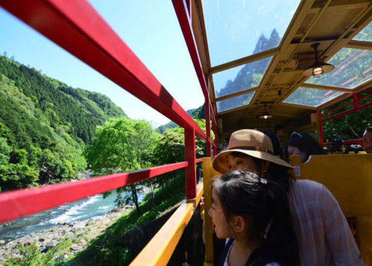 교토 ‘사가노 토롯코 열차’를 타고 신록의 터널을 달려 나가는 절경 여행
