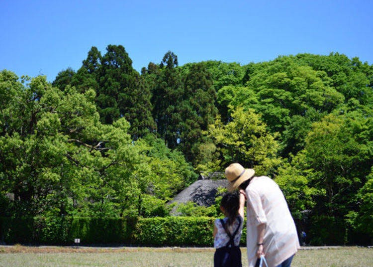 ▲A little past the Bamboo Forest is a peaceful view of Sagano